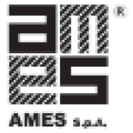 AMES logo