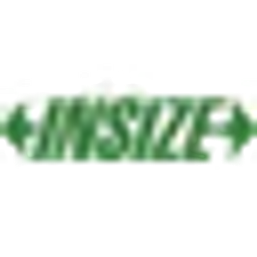 INSIZE M4 logo