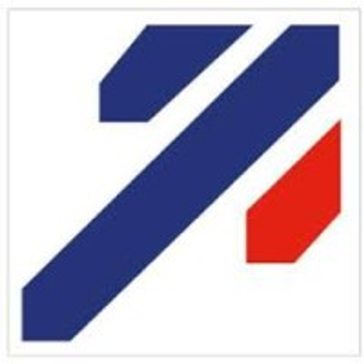 NEX FLOW logo