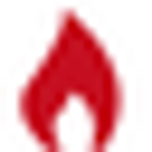 NIK LIGHT logo