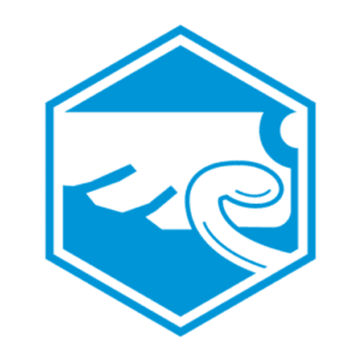RIGEL MEDICAL logo