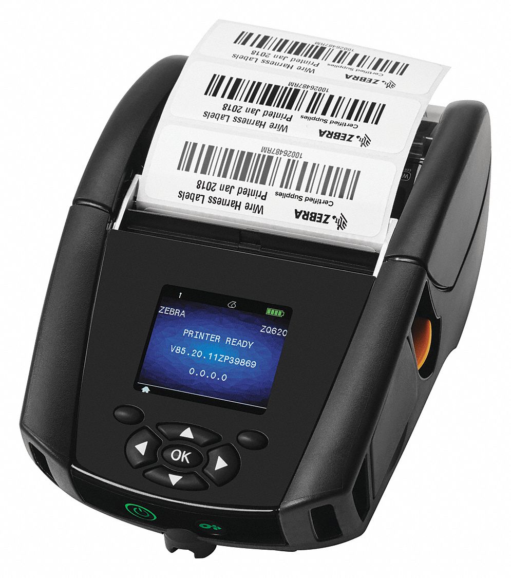 Zebra 3G-OTH-576044