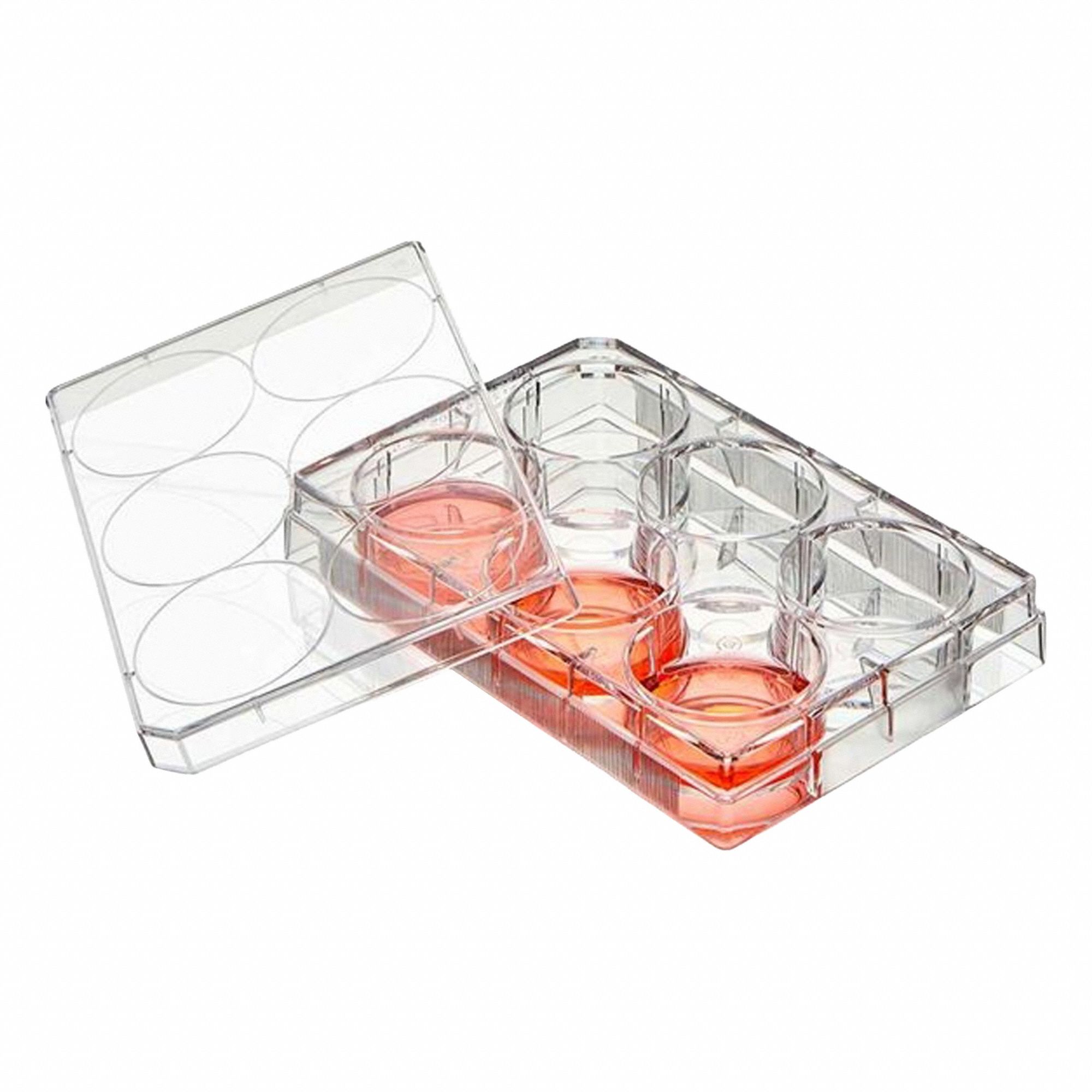 Globe Scientific 3G-OTH-378625