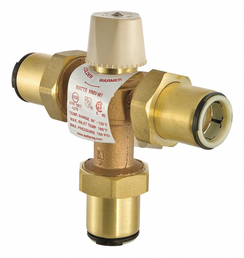 Watts 3G-OTH-596576