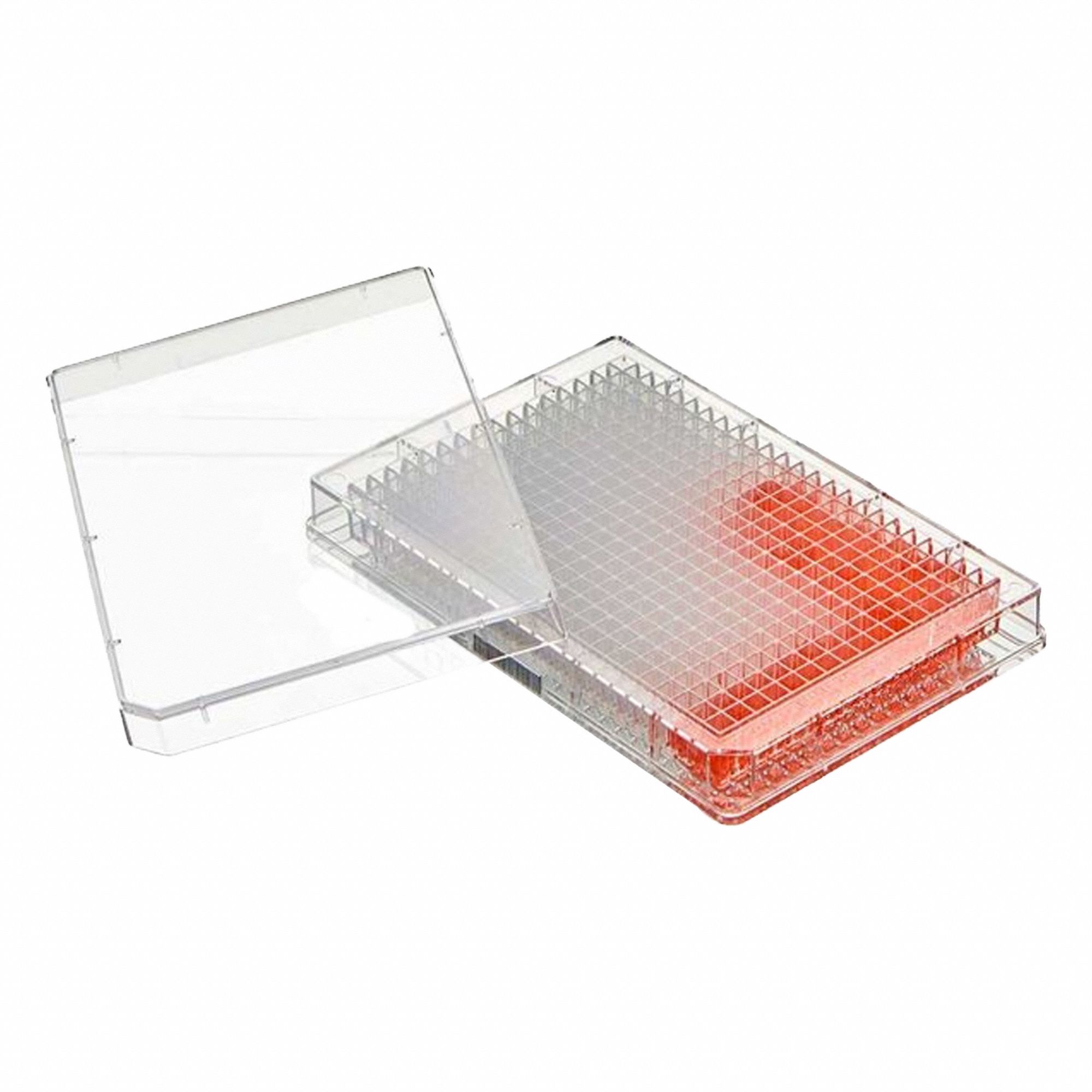 Globe Scientific 3G-OTH-378619