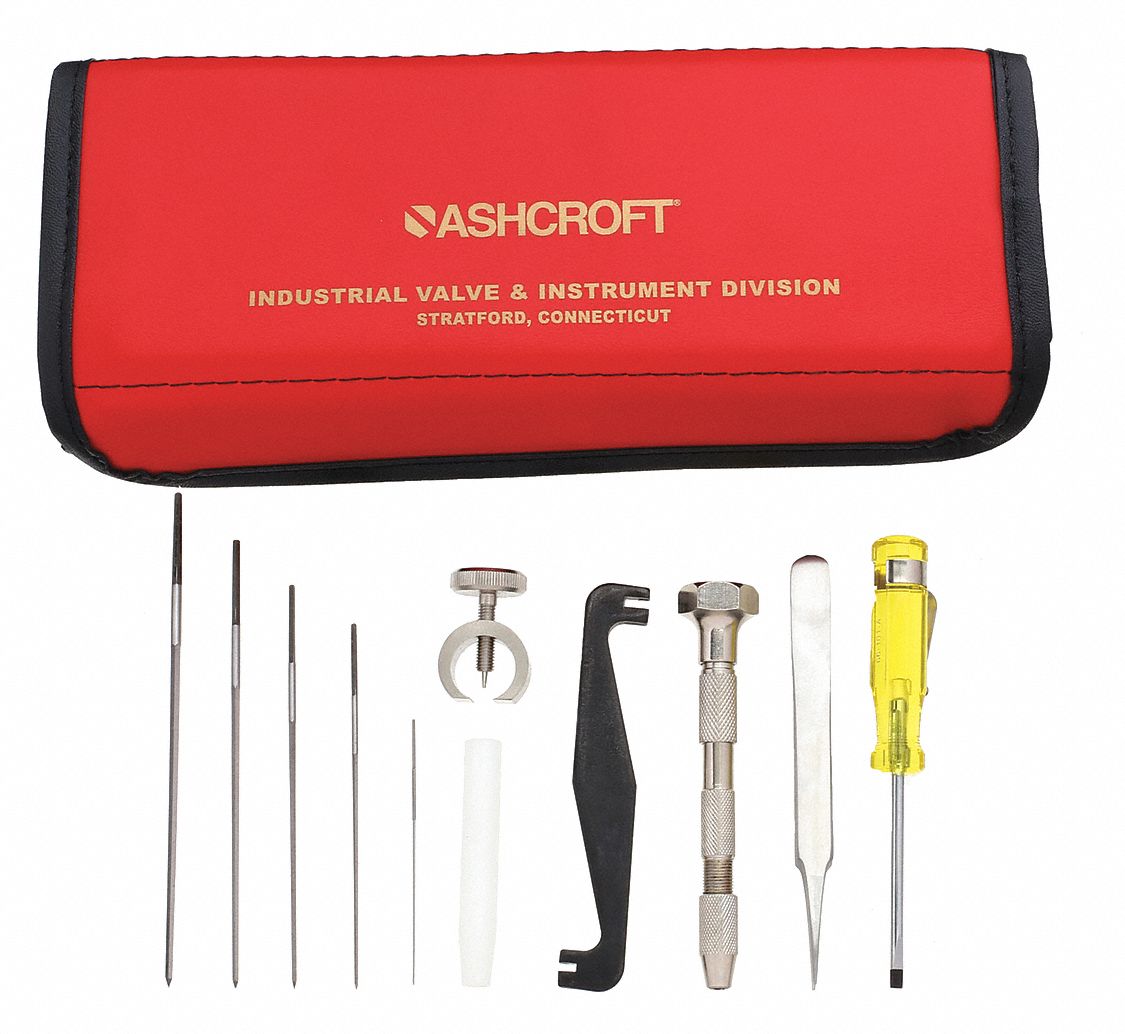 Ashcroft 3G-OTH-174956