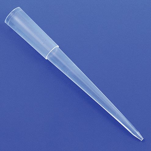 Globe Scientific 3G-OTH-370007
