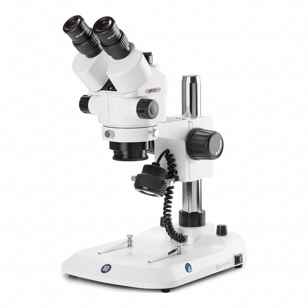 Globe Scientific 3G-OTH-414698