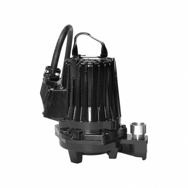 Goulds 3G-OTH-84973