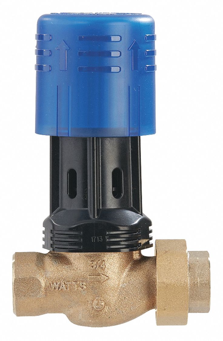 Watts 3G-OTH-439396