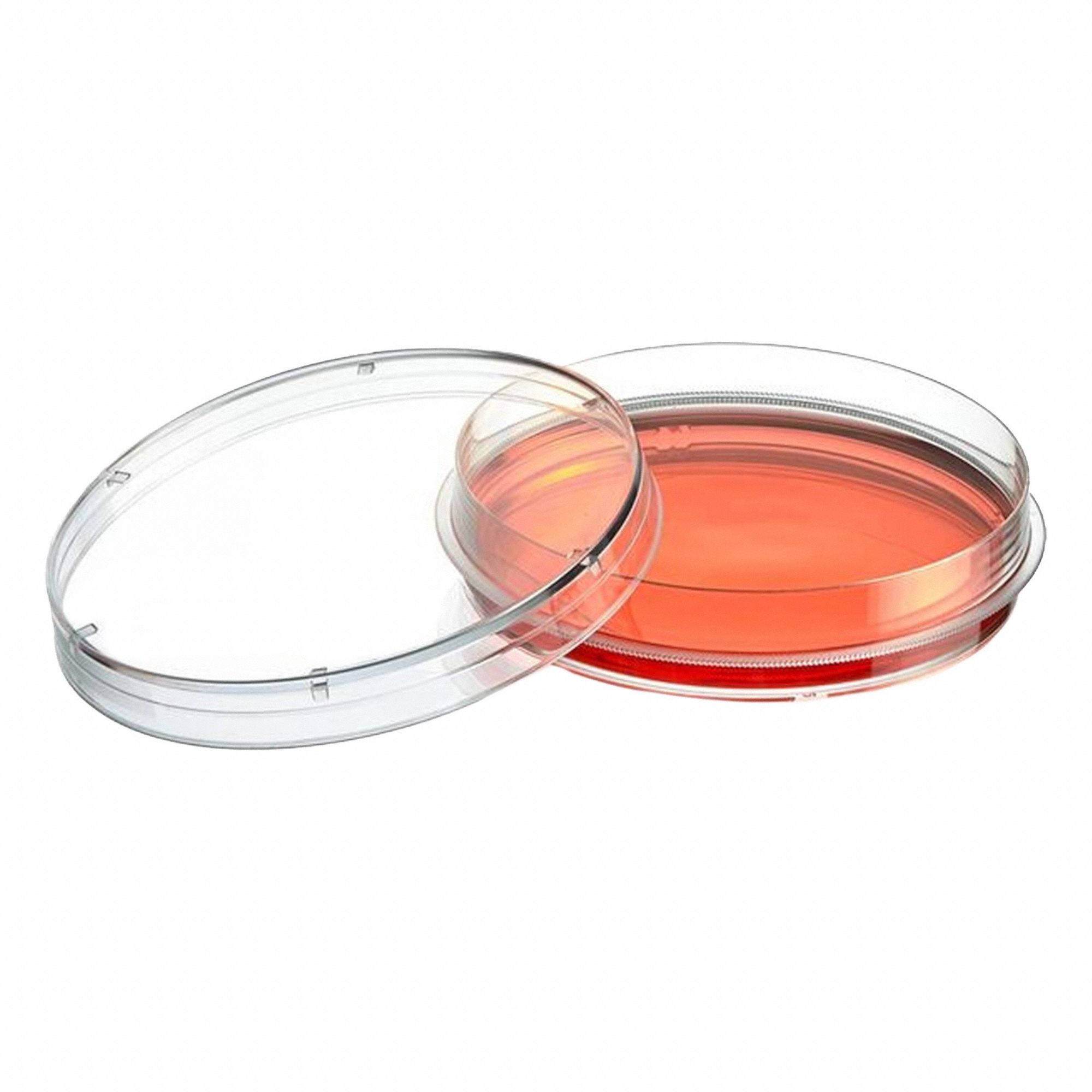Globe Scientific 3G-OTH-378628