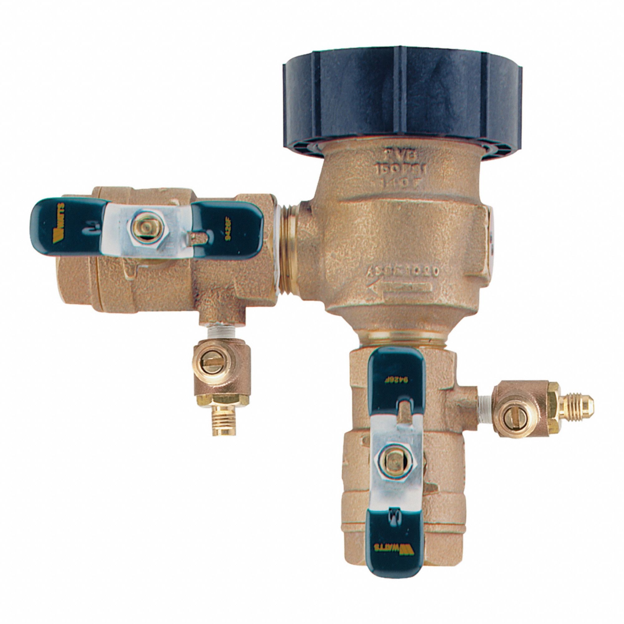 Watts 3G-OTH-446164