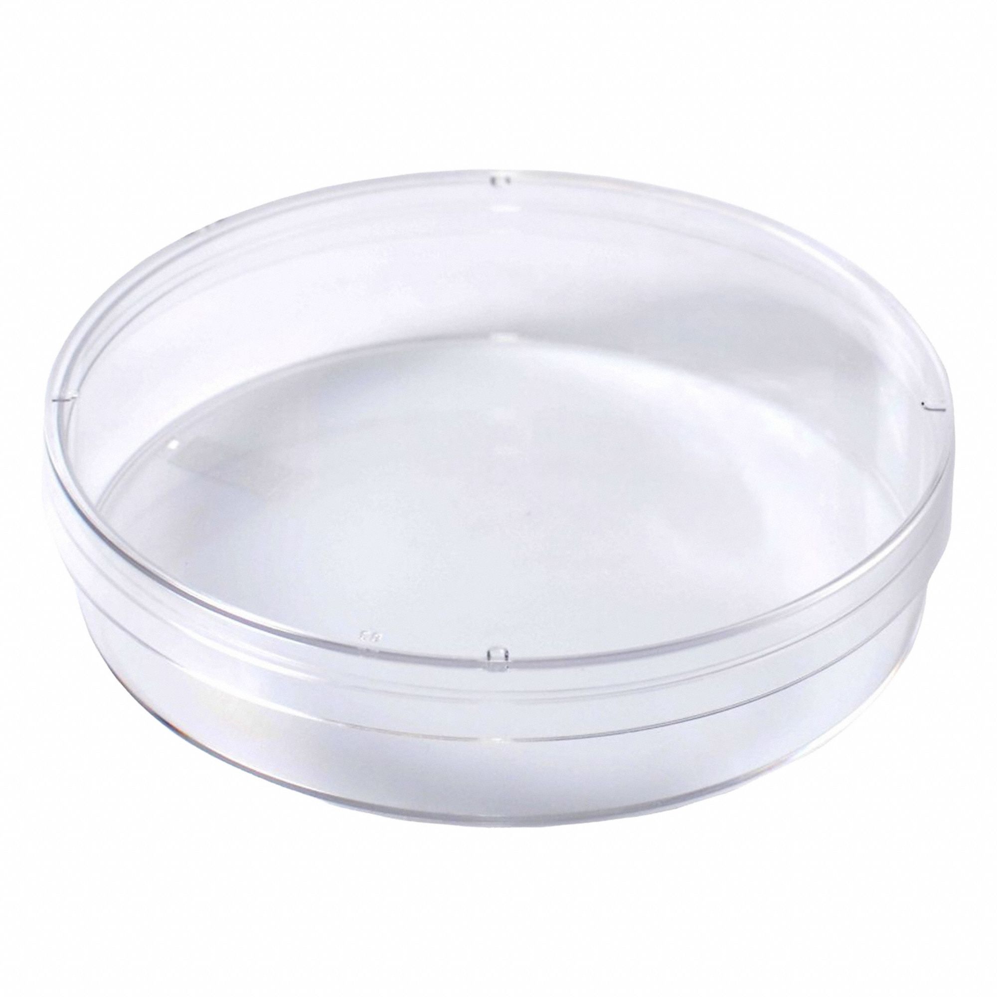 Qorpak 3G-OTH-366786