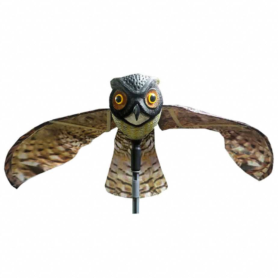 Bird-x 3G-OTH-414631