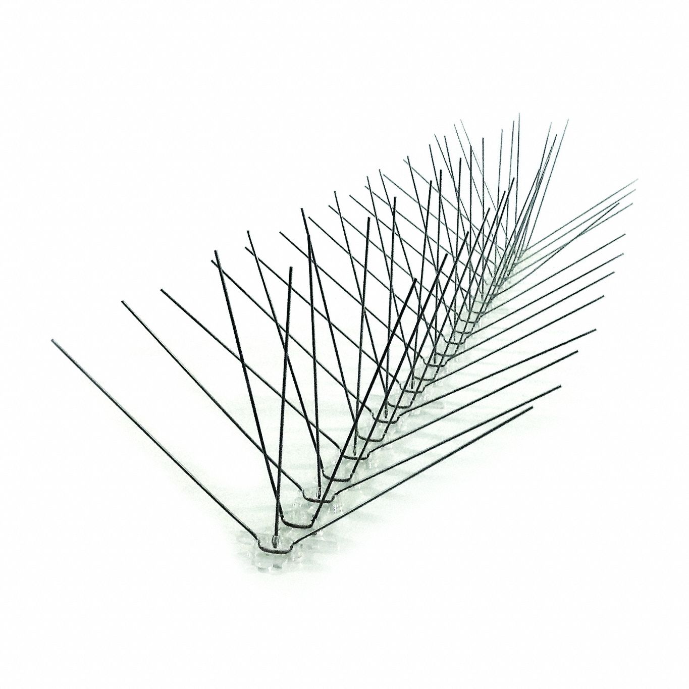 Bird-x 3G-OTH-372531