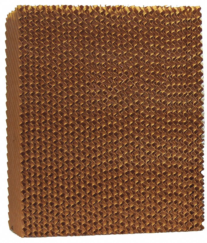 Champion 3G-OTH-57394