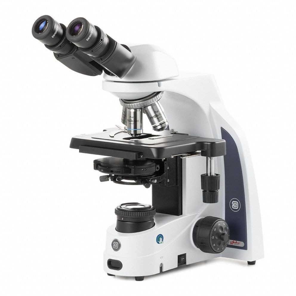 Globe Scientific 3G-OTH-374373