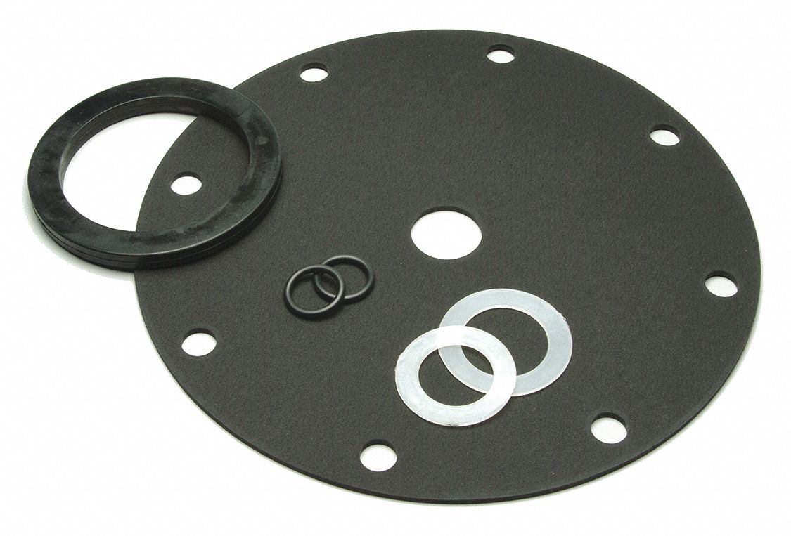 Wilkins 3G-OTH-435523