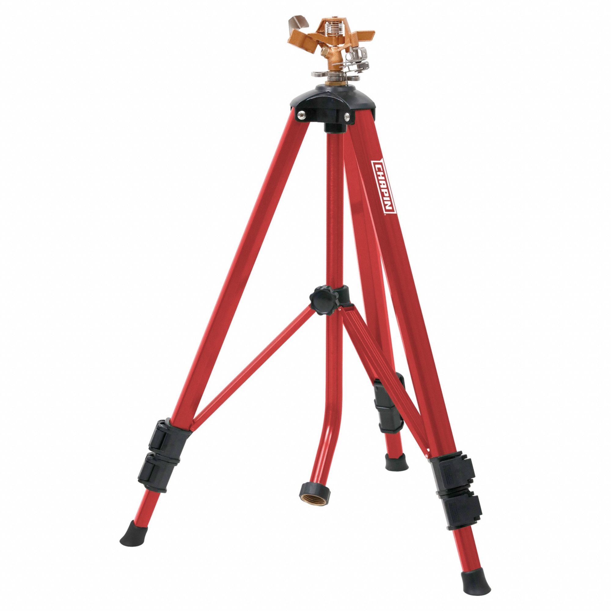 Chapin 3G-OTH-385096