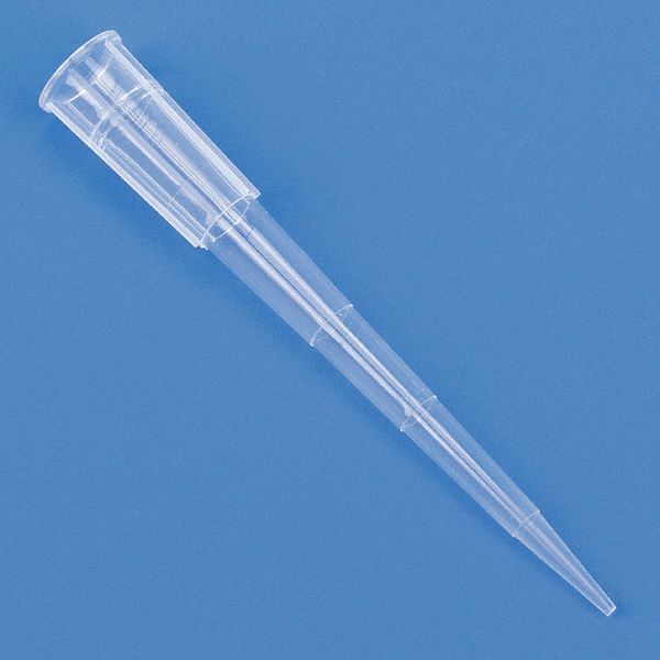 Globe Scientific 3G-OTH-369978