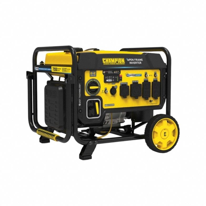 Champion Power Equipment 3G-OTH-383518