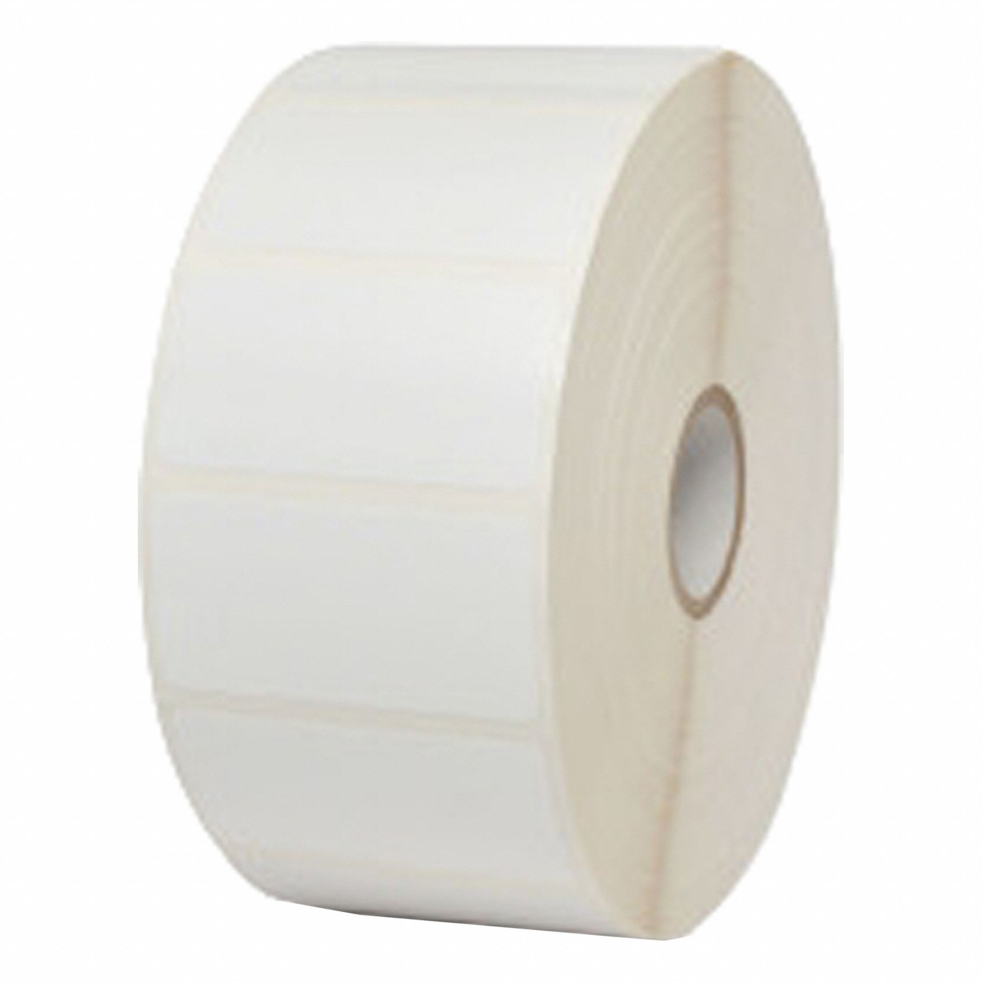 Zebra 3G-OTH-580683