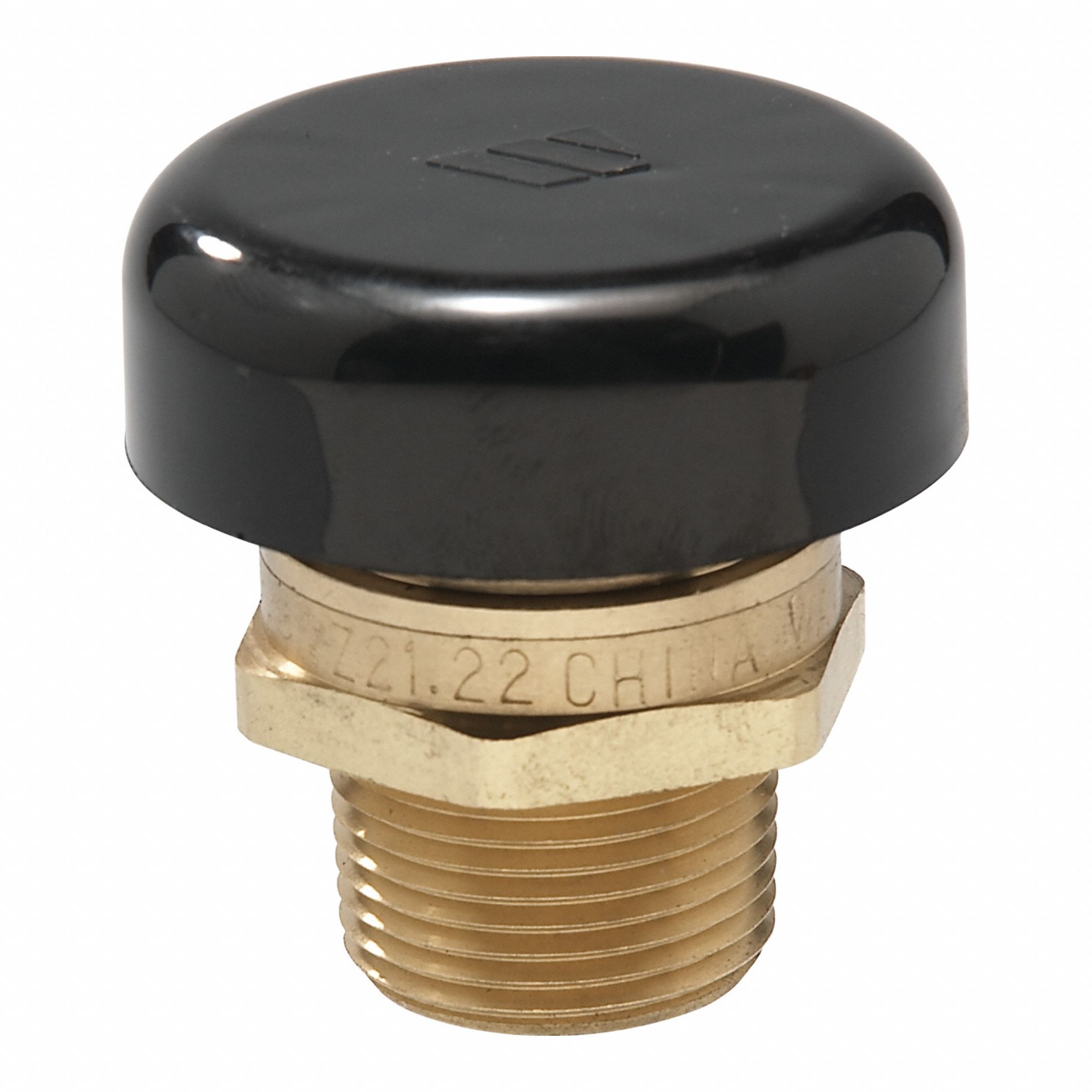 Watts 3G-OTH-431018
