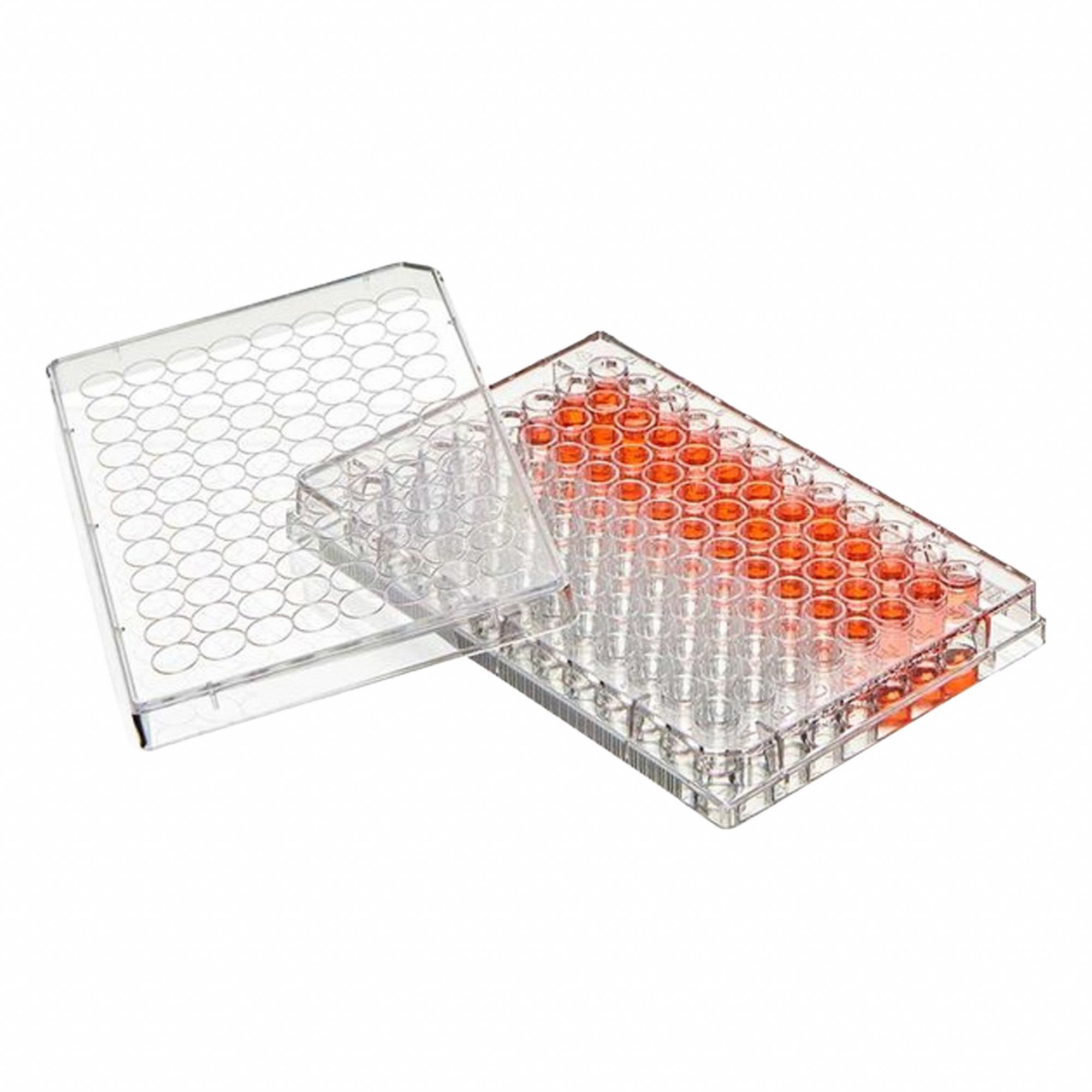 Globe Scientific 3G-OTH-378614