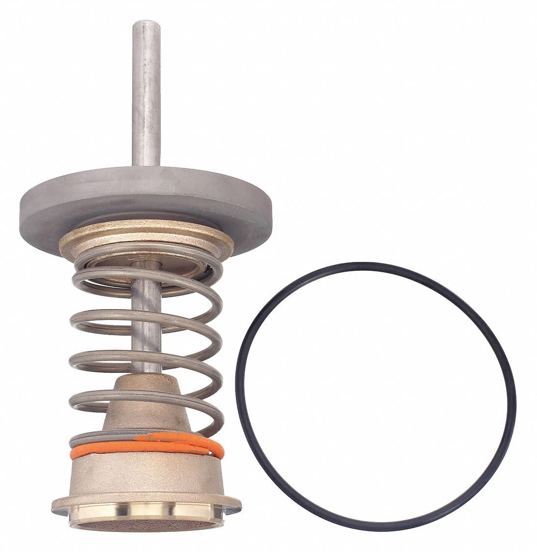 Watts 3G-OTH-436709