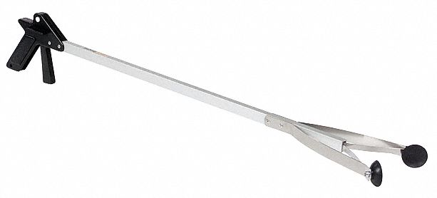 Pig 3G-OTH-564630