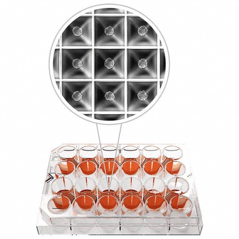 Heidolph 3G-OTH-378593