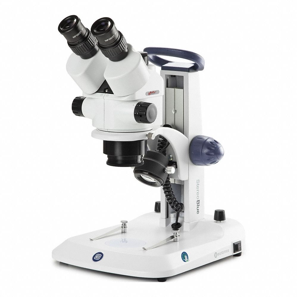 Globe Scientific 3G-OTH-414709