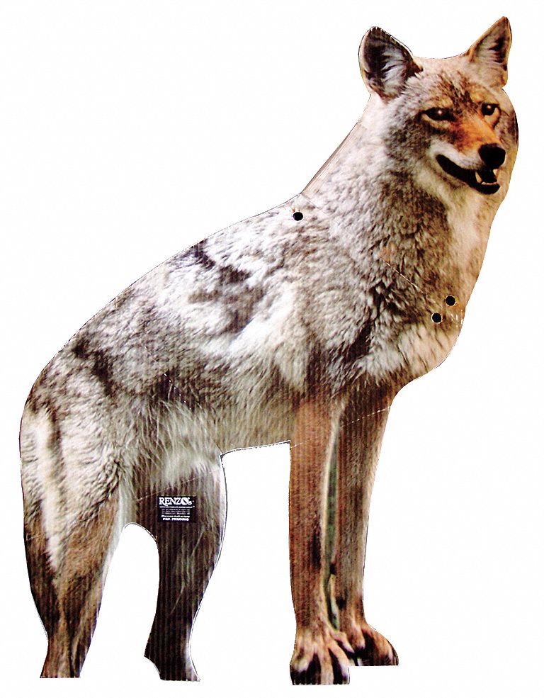 Bird-x 3G-OTH-373347