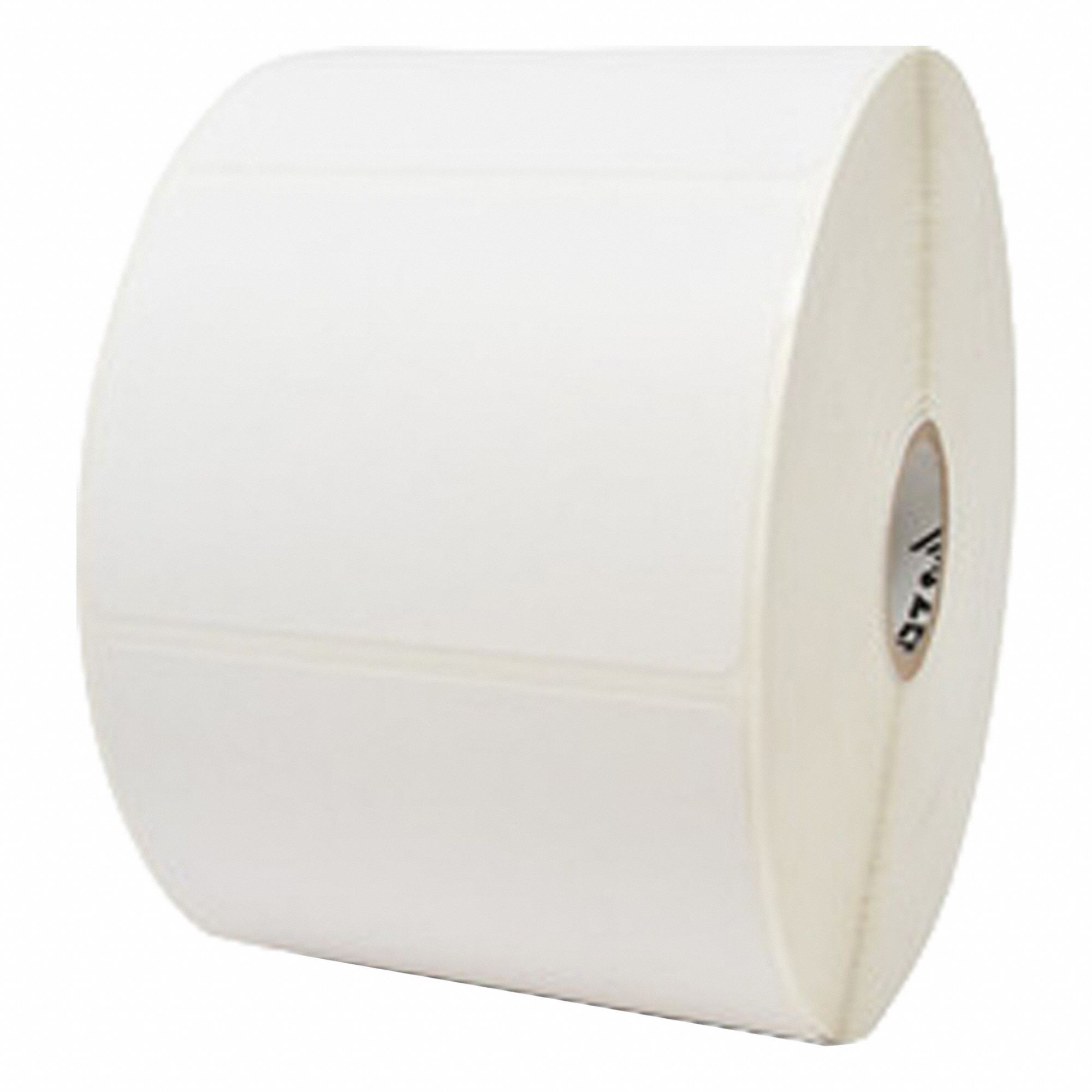 Zebra 3G-OTH-580689