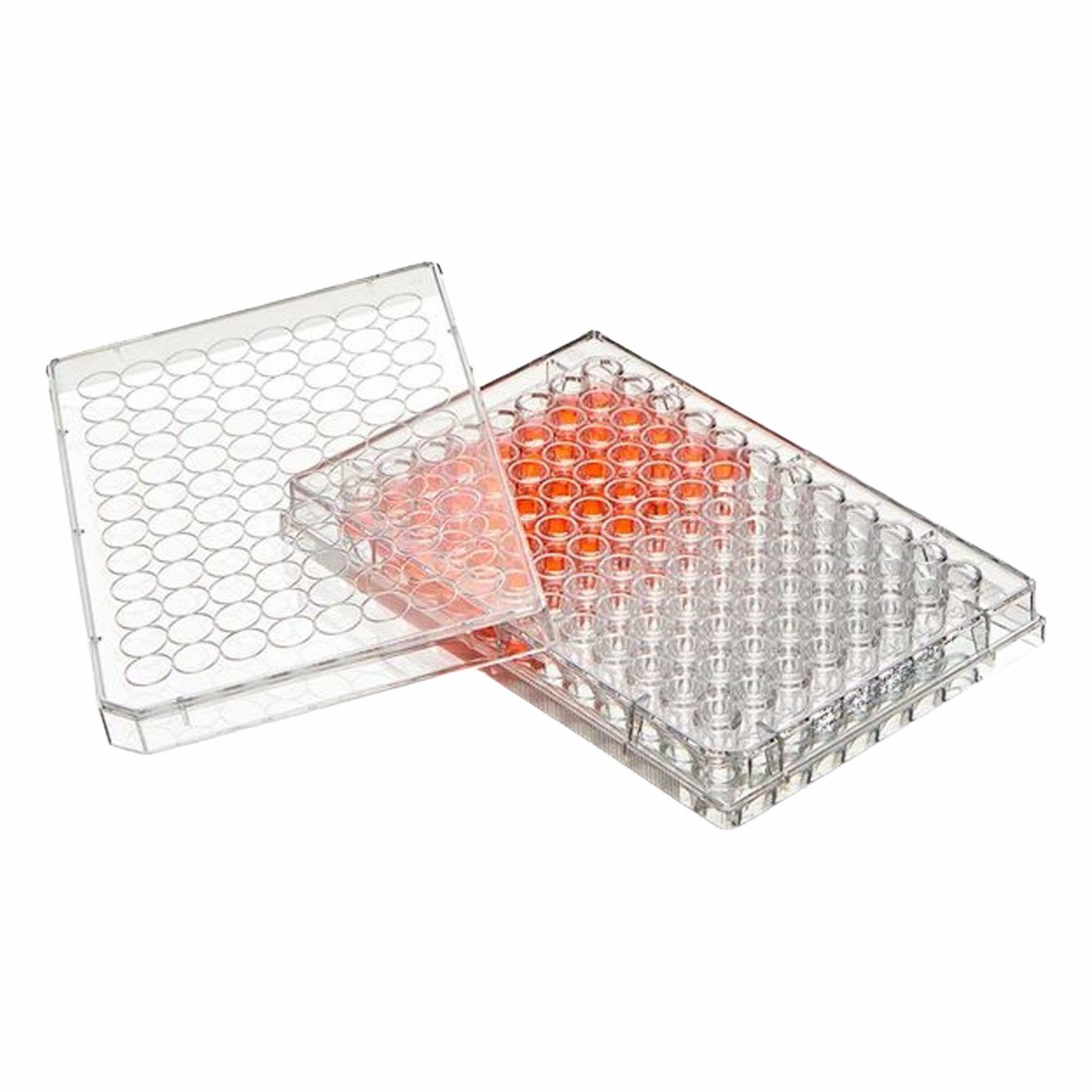 Globe Scientific 3G-OTH-378620