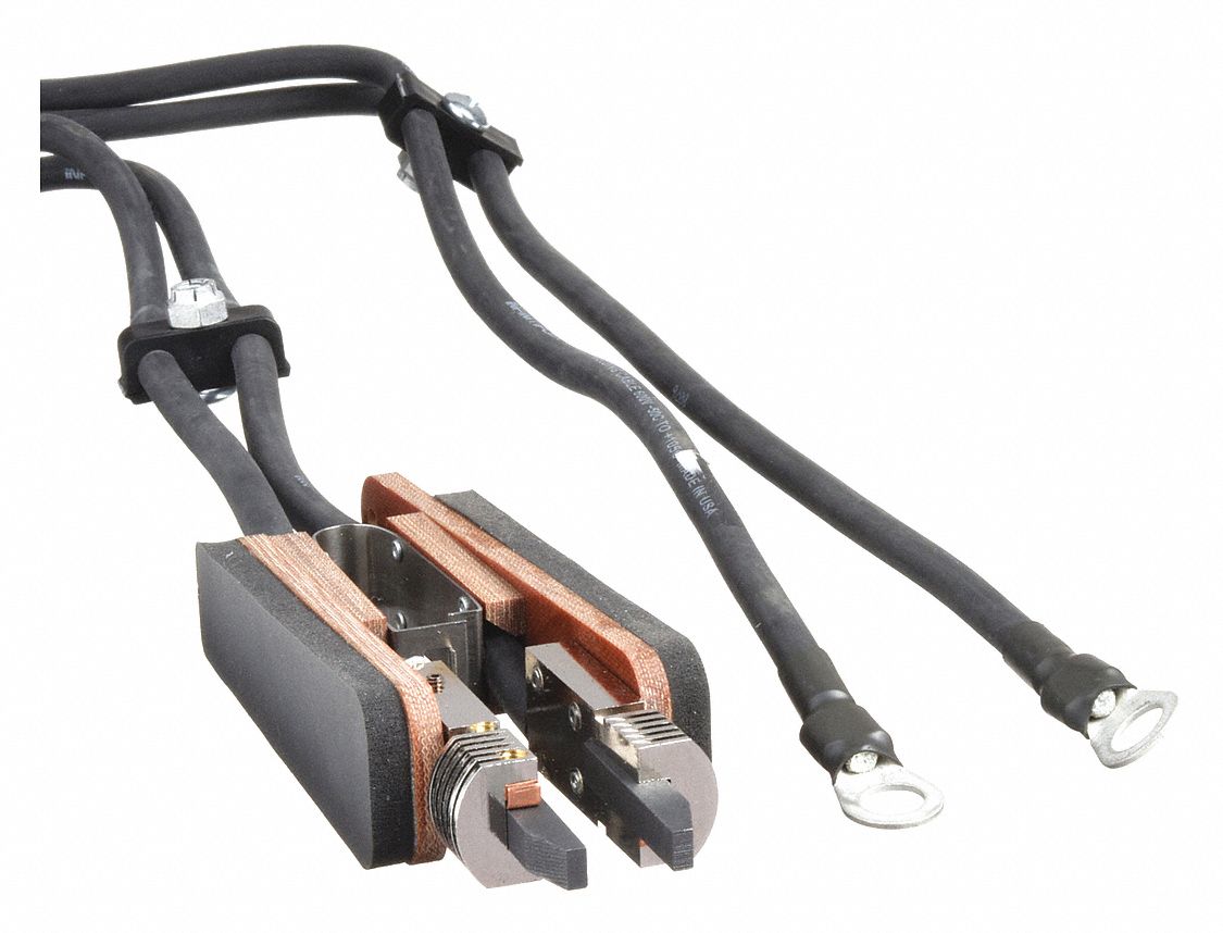 American Beauty 3G-OTH-357953