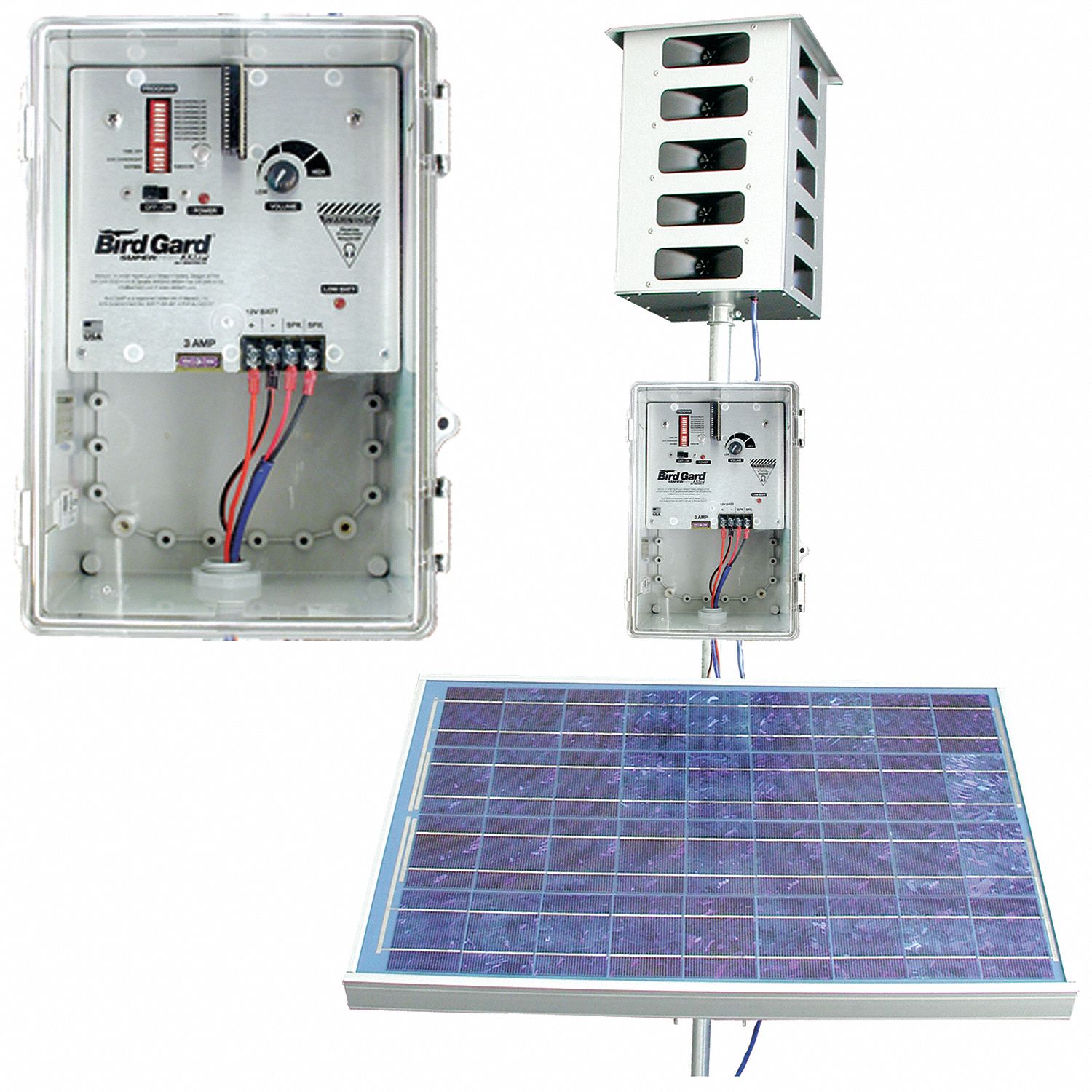 Bird-x 3G-OTH-372504