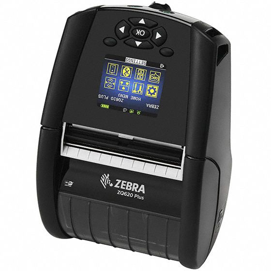 Zebra 3G-OTH-576043