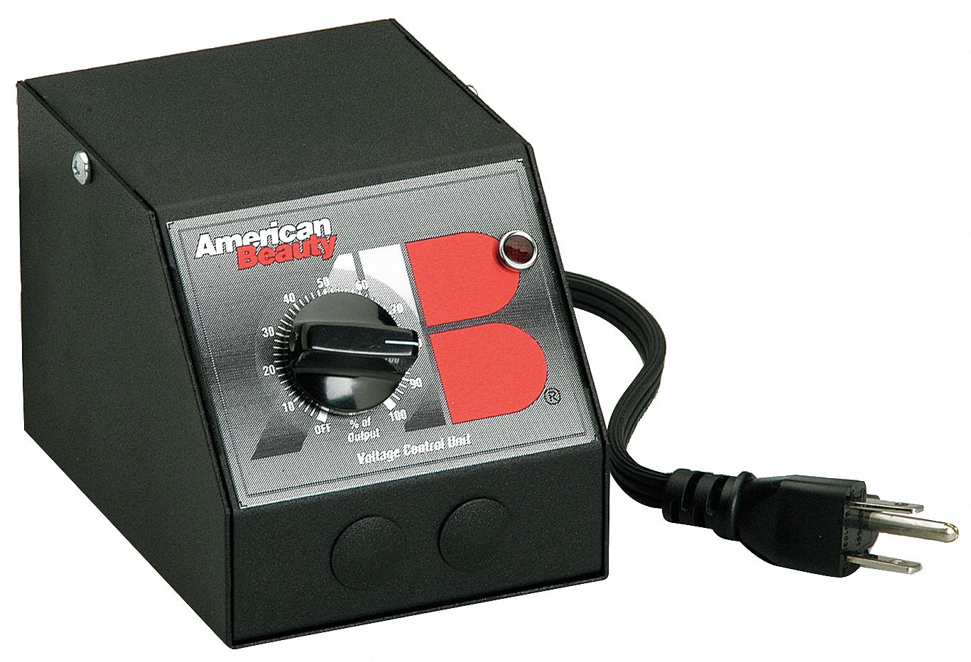 American Beauty 3G-OTH-369573