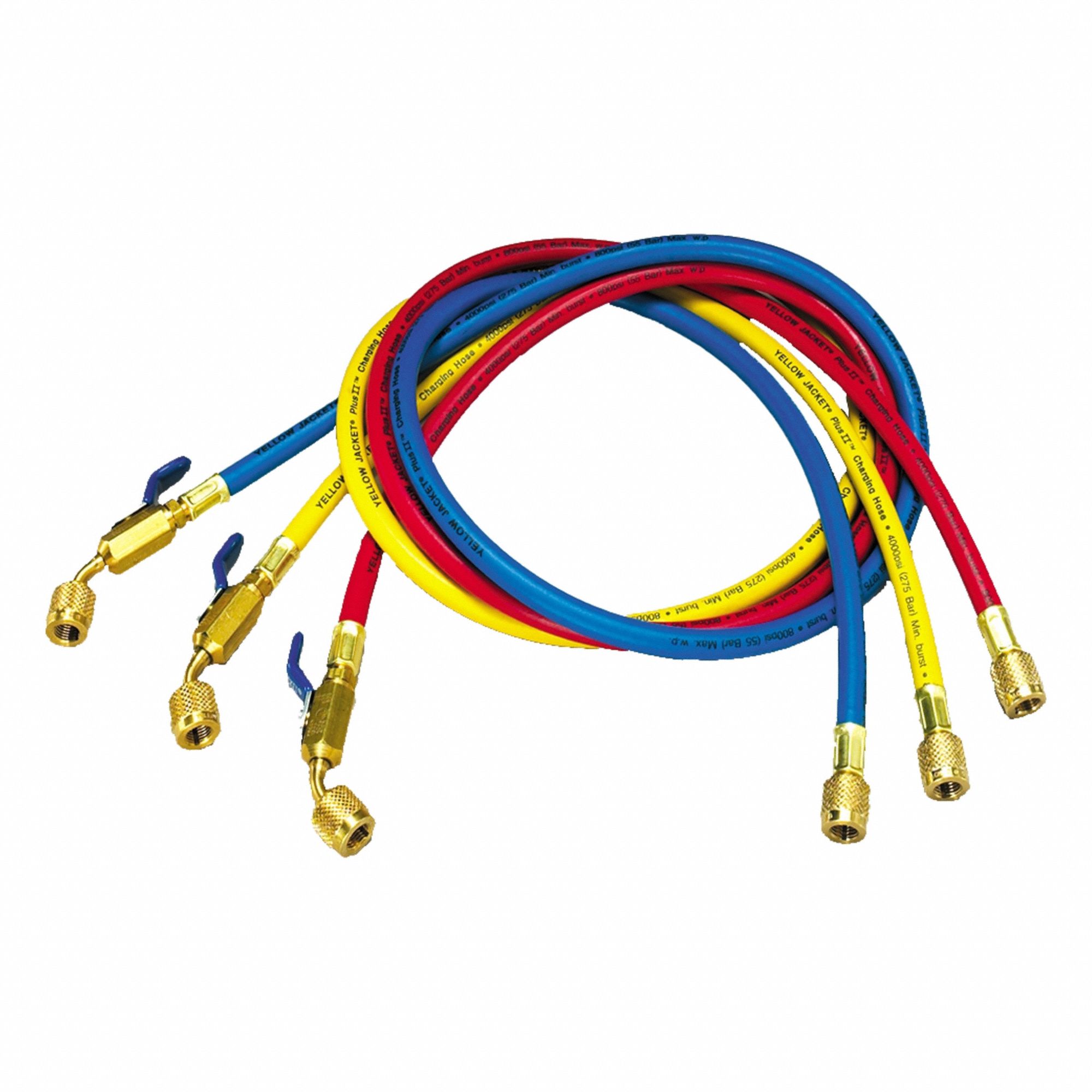 Yellow Jacket 3G-OTH-71187