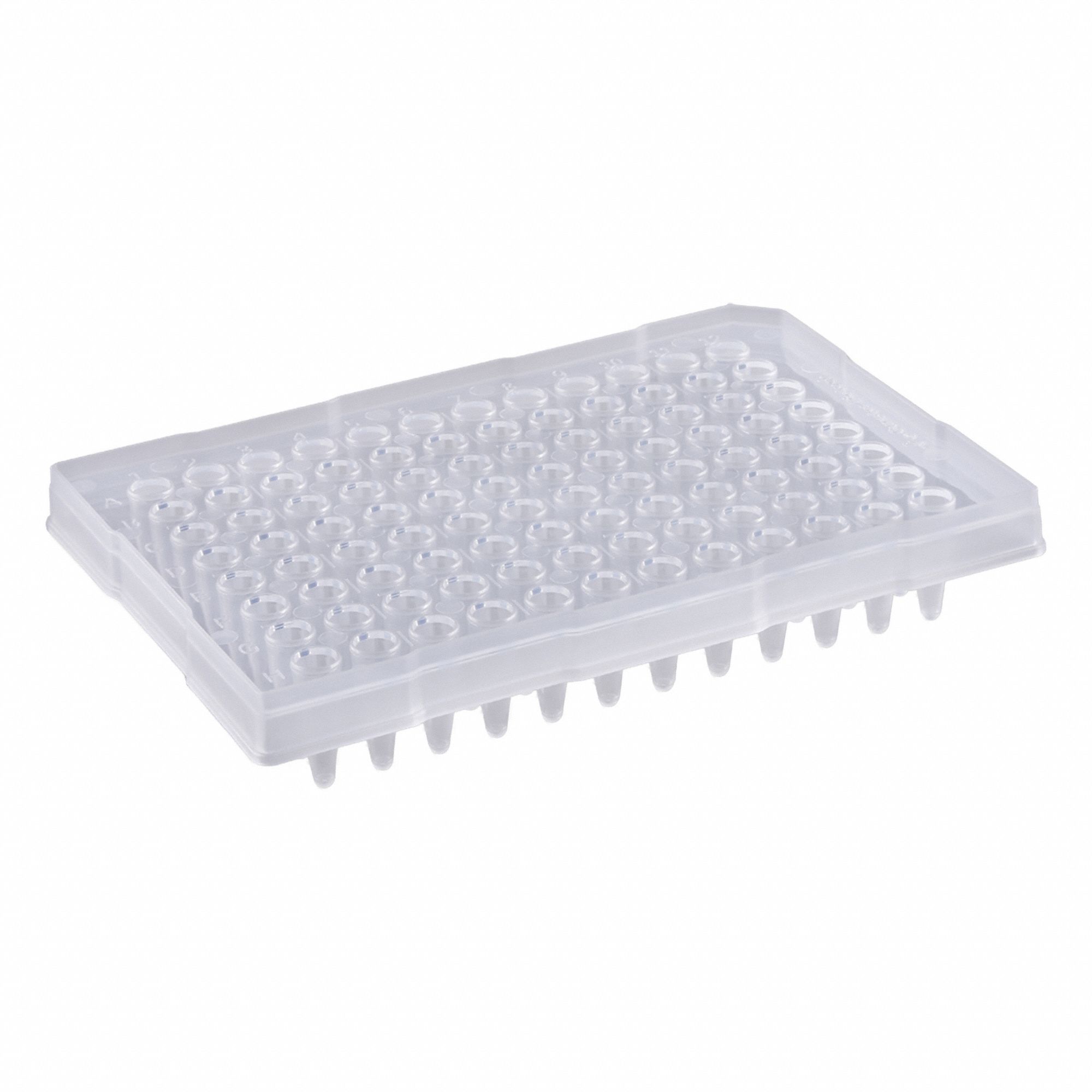 Qorpak 3G-OTH-374693
