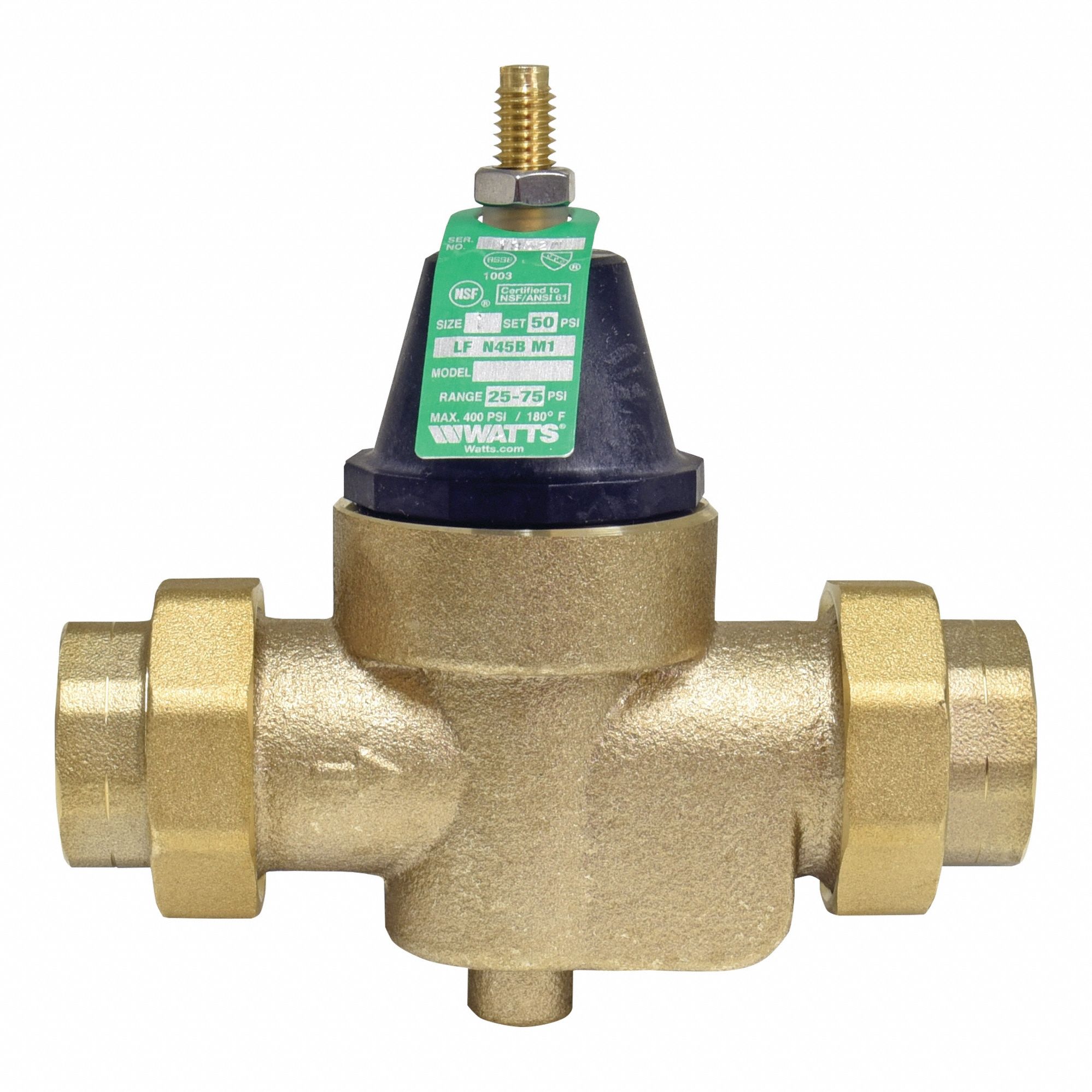 Watts 3G-OTH-439501