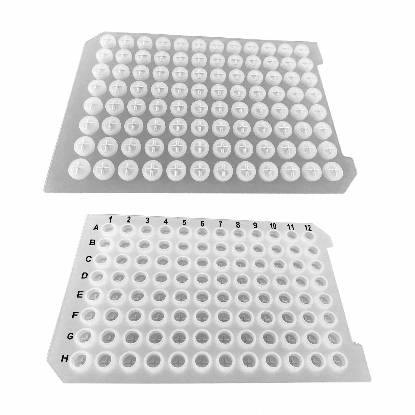 Mtc Bio 3G-OTH-420869