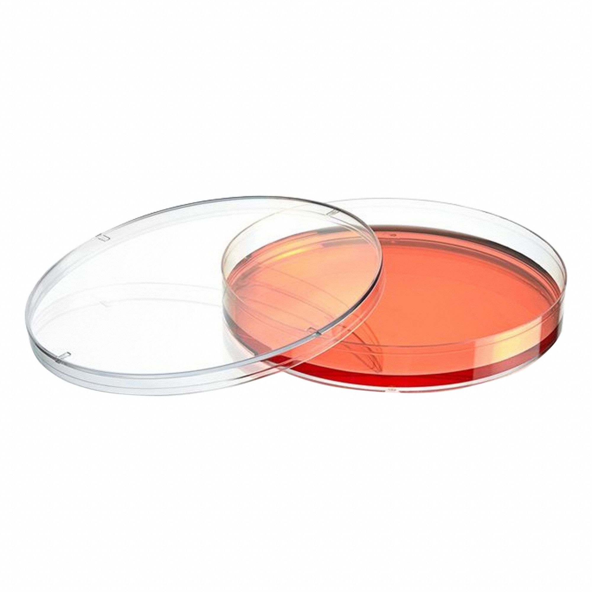 Globe Scientific 3G-OTH-378626