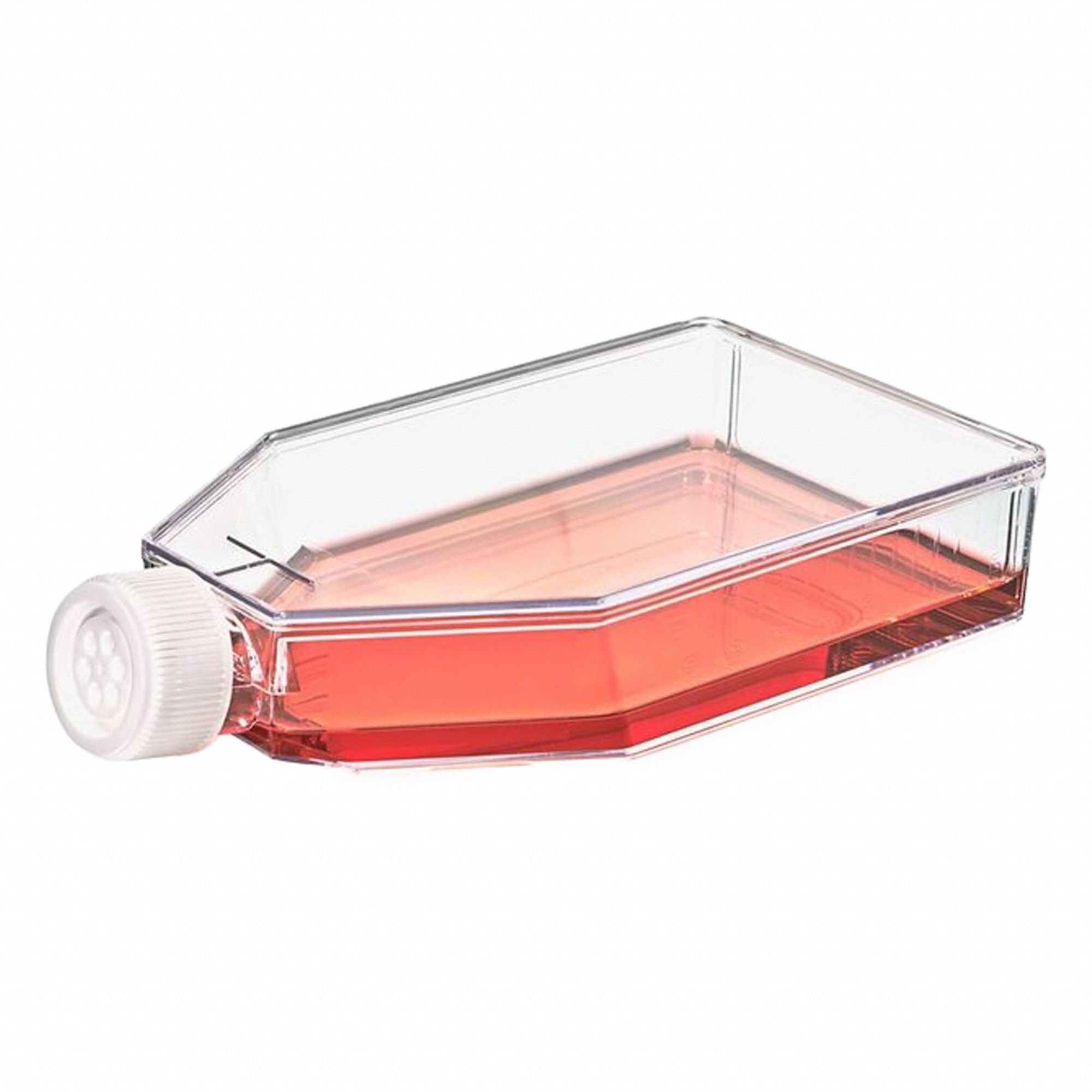 Approved Vendor 3G-OTH-370998