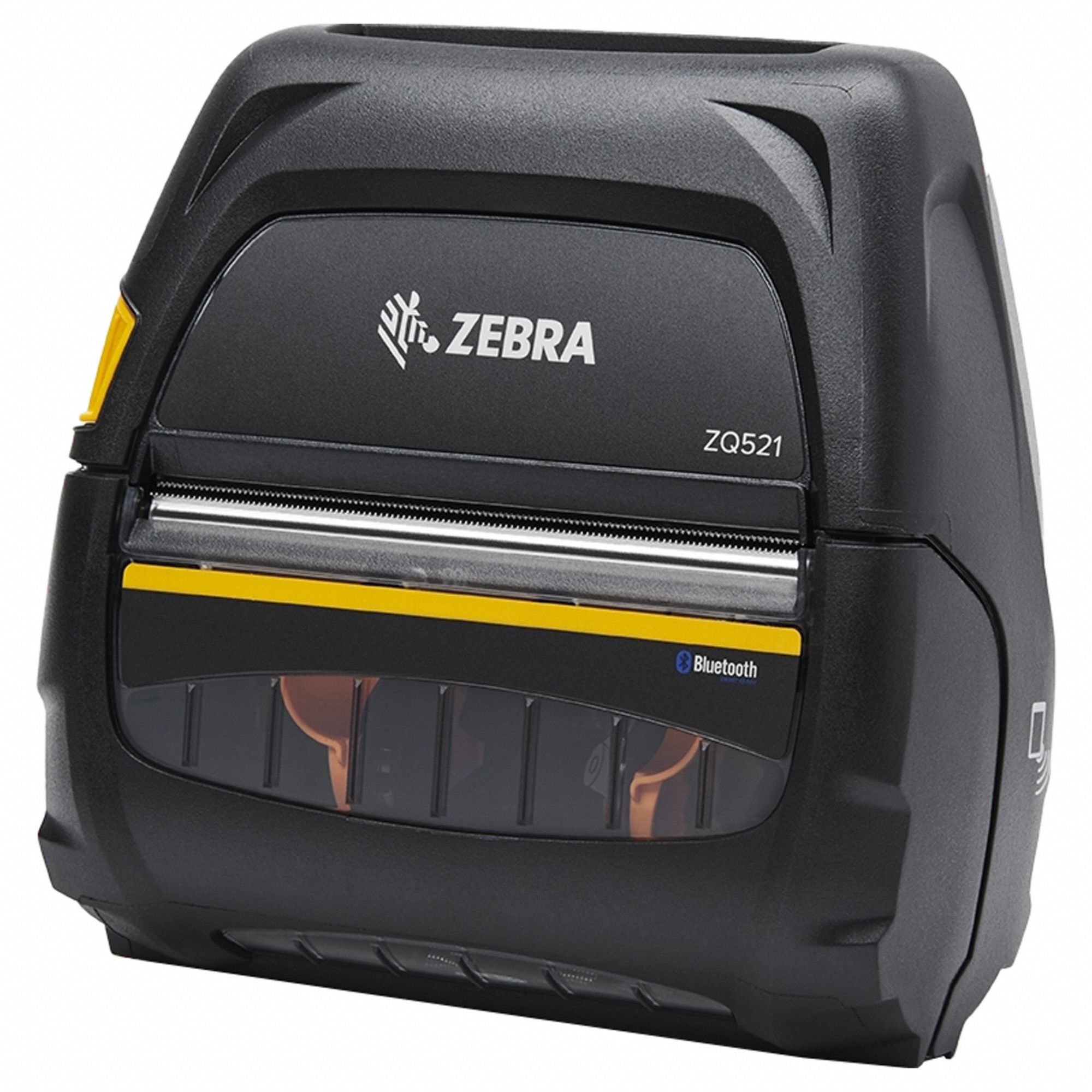 Zebra 3G-OTH-580078
