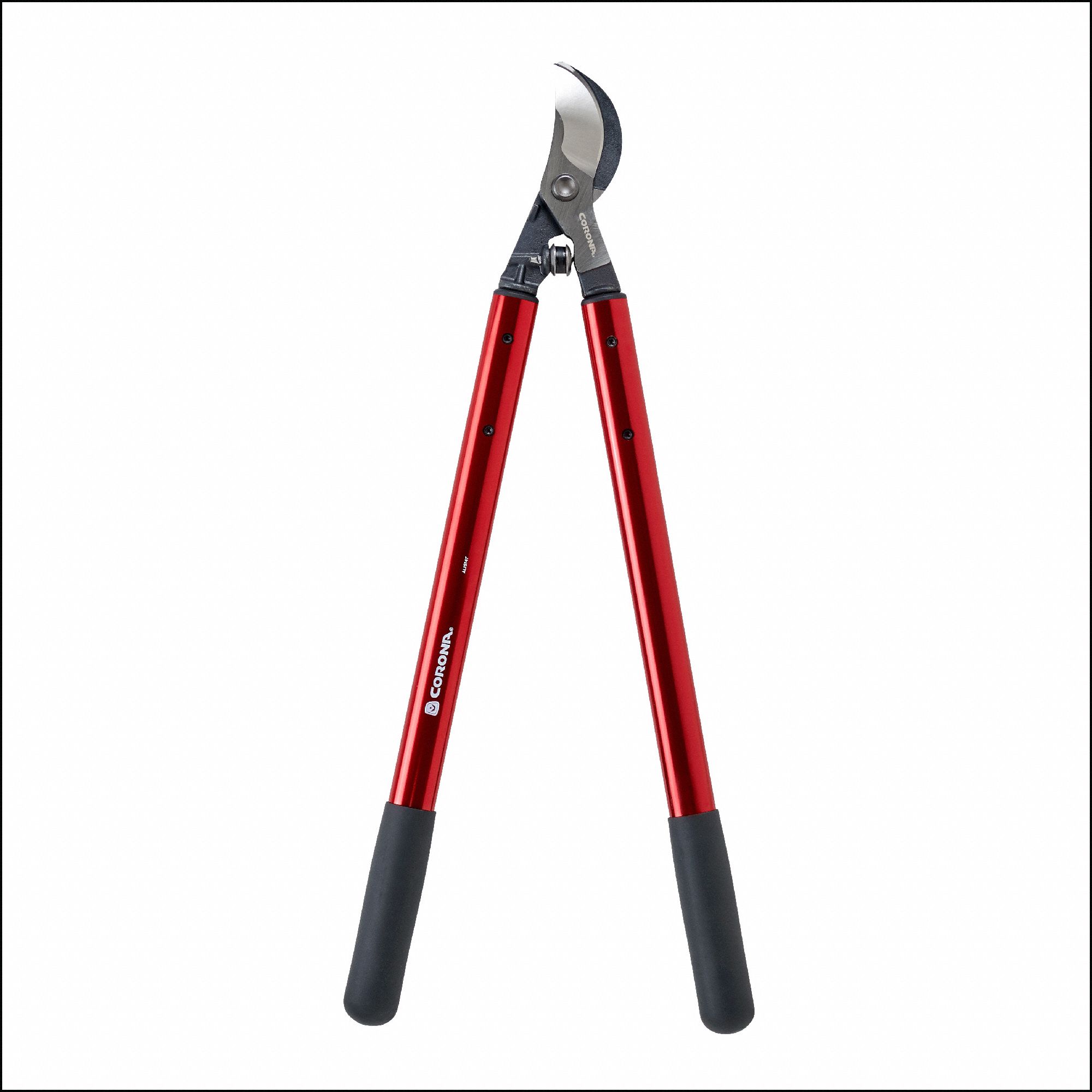 Corona 3G-OTH-387750