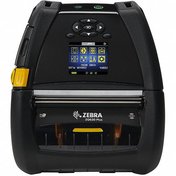 Zebra 3G-OTH-580076