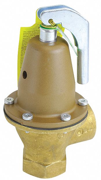Watts 3G-OTH-442493