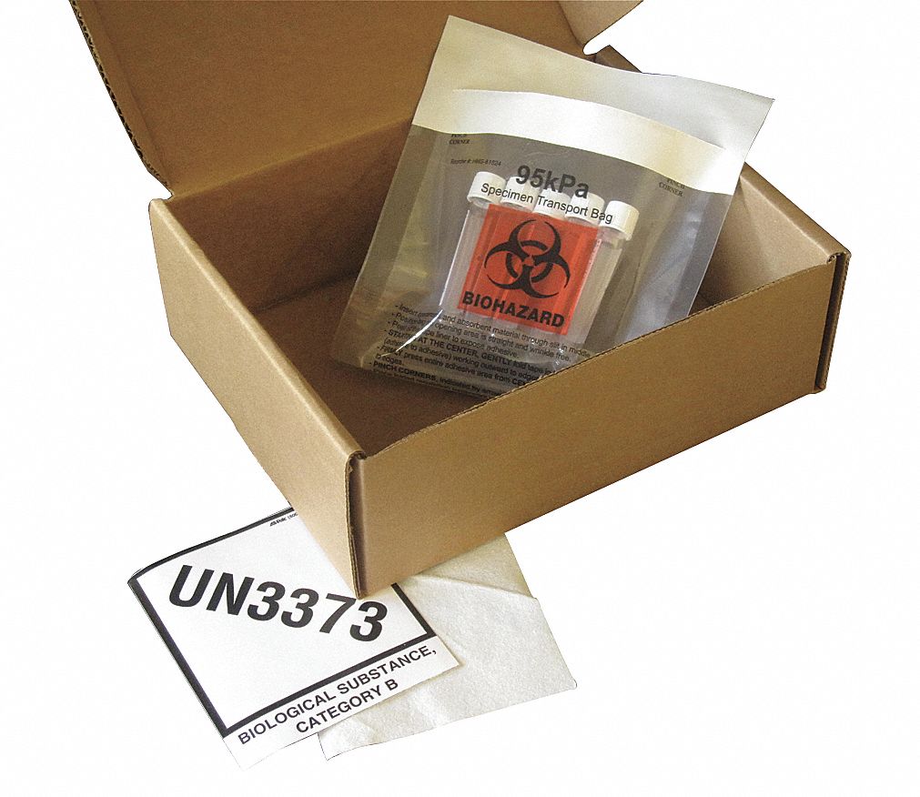 Berlin 3G-OTH-584012